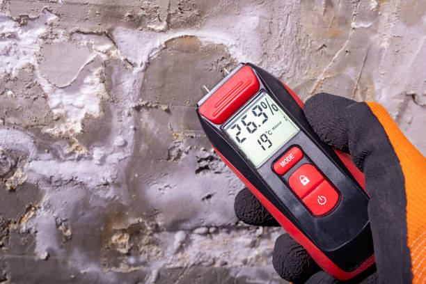 Best Emergency Mold Remediation in Manchester, KY